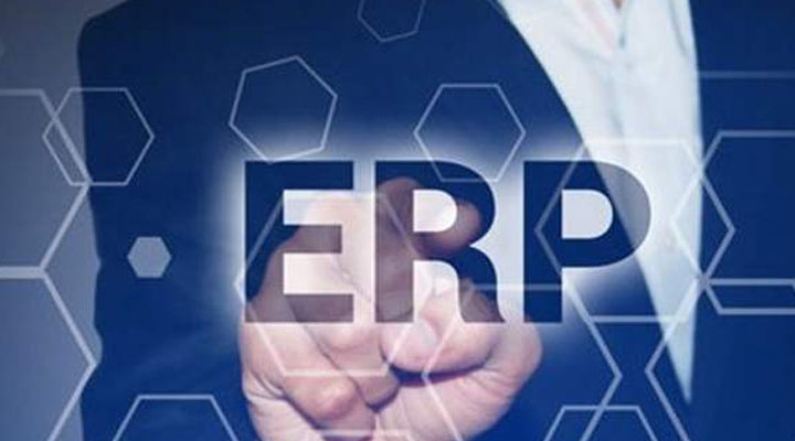 如何优化ERP管理系统以支持CLV分析？